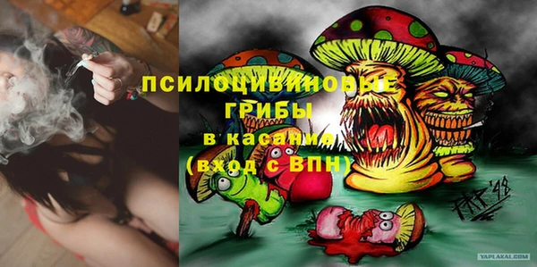 Альфа ПВП Алзамай