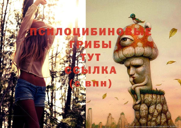 спайс Алексеевка