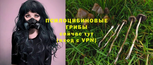 apvp Абдулино