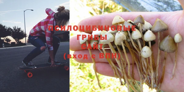 apvp Абдулино