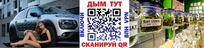 Бошки Шишки конопля  Дмитровск 